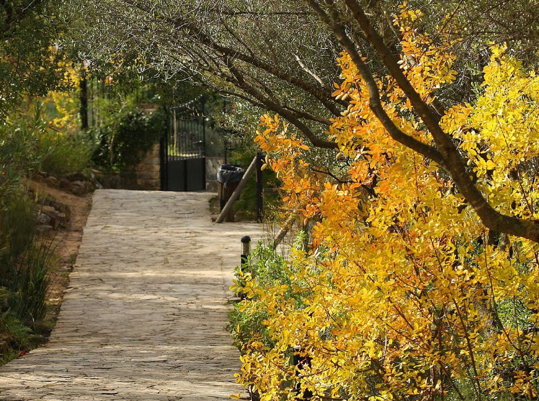Jardín Botánico el Arboretos, Spain